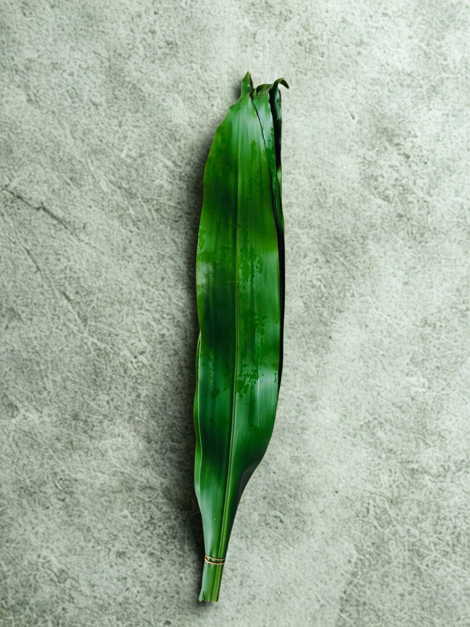 Jamaica Green